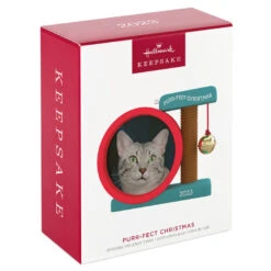 Hallmark Purr-fect Christmas 2023 Photo Frame Ornament -Hallmark Cat Scratcher Toy Picture Frame Keepsake Ornament 1599QGO2597 04
