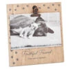 Hallmark Faithful Friend Memorial Clip Picture Frame, 4X6 2 Hallmark Faithful Friend Memorial Clip Picture Frame, 4X6 -Hallmark Faithful Friend Memorial Clip Picture Frame 4X6 1BMK1604 01