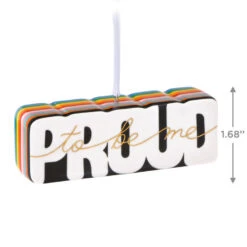 Hallmark Proud To Be Me Porcelain Ornament 10 Hallmark Proud To Be Me Porcelain Ornament -Hallmark LGBTQ Proud to Be Me Keepsake Ornament 1799QHX3029 03