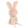 Hallmark MopTops Angora Bunny Stuffed Animal With You Are Loved Board Book 1 Hallmark MopTops Angora Bunny Stuffed Animal With You Are Loved Board Book -Hallmark MopTops Plush Bunny Stuffed Animal Board Book 1KID1531 01