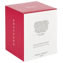 Hallmark Playful Penguins On Ferris Wheel Musical Ornament With Light And Motion -Hallmark Penguins on Ferris Wheel Keepsake Ornament 4499QGO2679 05