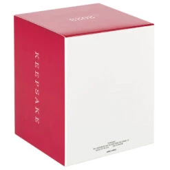 Hallmark Star Wars: The Book Of Boba Fett™ Riding Into The Battle Ornament -Hallmark Star Wars Boba Fett on Rancor Keepsake Ornament 2499QXI7087 05