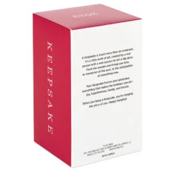 Hallmark Disney The Sword In The Stone 60th Anniversary Becoming King Arthur Ornament -Hallmark The Sword in the Stone Wart Keepsake Ornament 1999QXD6659 05